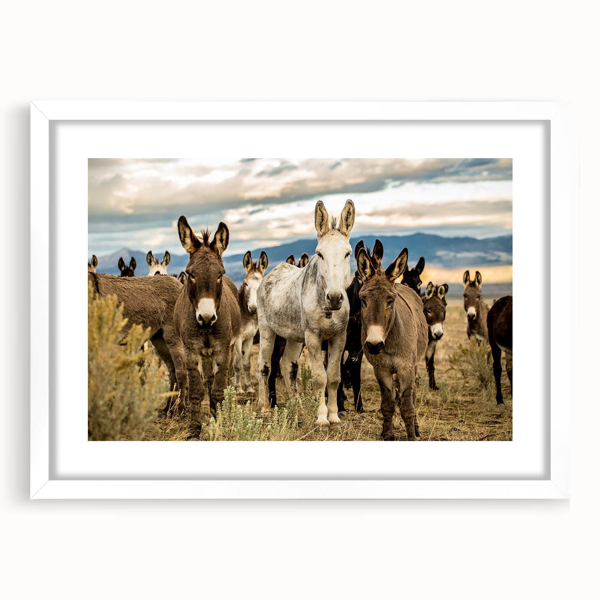 Framed wall art featuring a whimsical donkey design from the 'Animals A Wild Life' collection, showcased with a white mat and sleek frame, perfect for animal lovers.