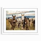 Framed wall art featuring a whimsical donkey design from the 'Animals A Wild Life' collection, showcased with a white mat and sleek frame, perfect for animal lovers.