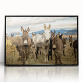 Framed wall art featuring a striking donkey design from the "Animals: A Wild Life" collection, showcasing vibrant colors and a sleek black frame, ideal for animal lovers' decor.