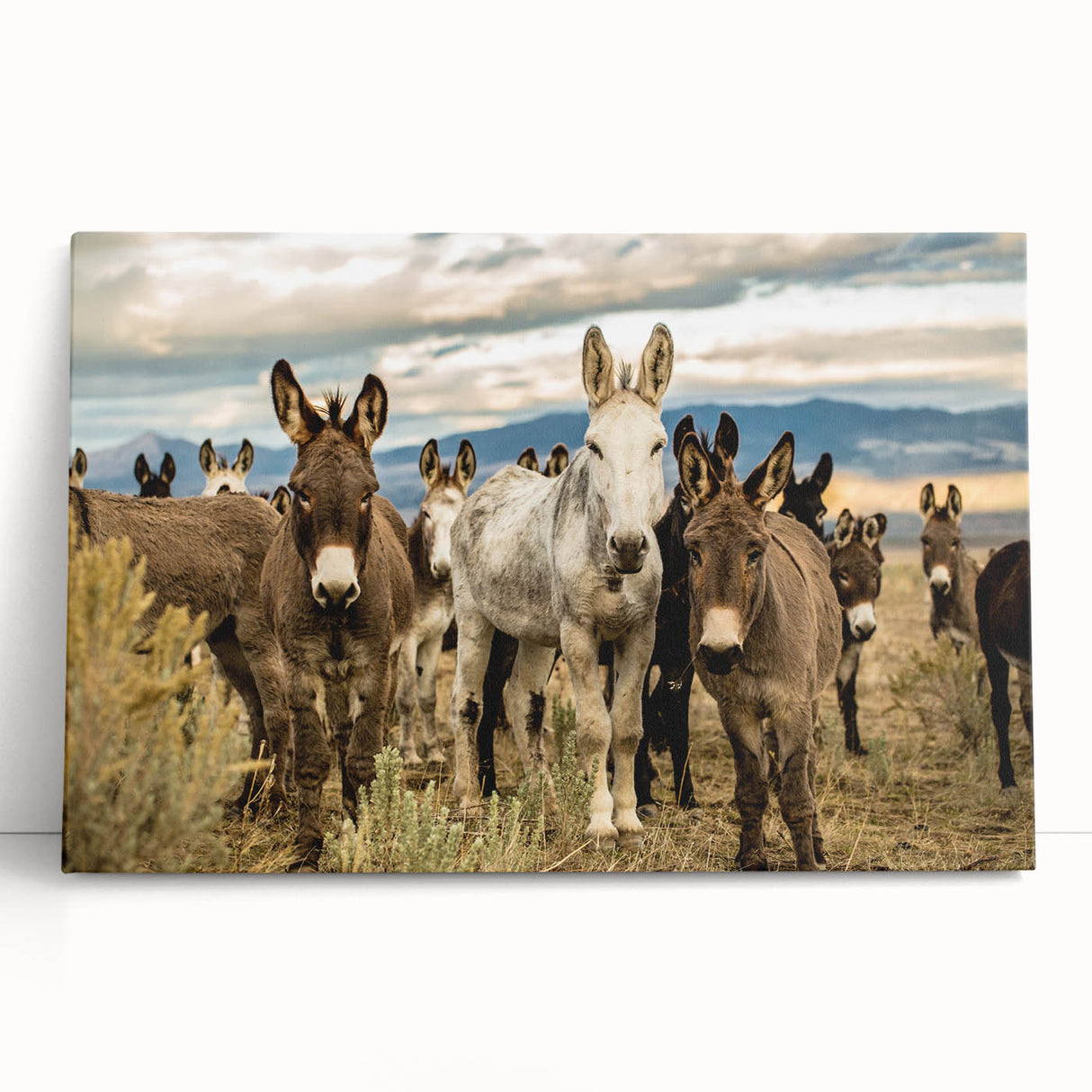 Stretched canvas art featuring a whimsical donkey design in vibrant colors, ideal for animal lovers, showcasing playful character and unique wall decor style.