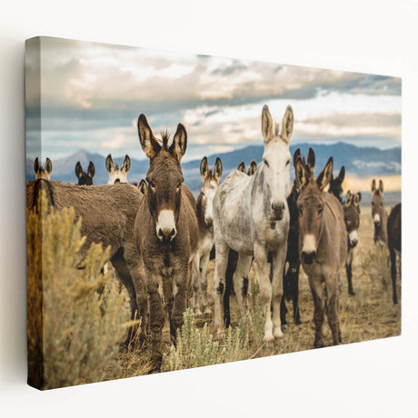 Stretched canvas wall art featuring a side view of a donkey in a vibrant wild life style, showcasing rich colors and intricate details in animal design.