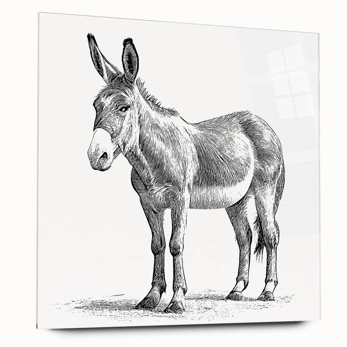Acrylic wall art featuring a side view of a whimsical donkey design, showcasing vibrant colors and playful details, perfect for animal lovers and home décor enthusiasts.