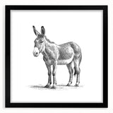 Black-framed wall art collection showcasing a whimsical donkey design, featuring vibrant colors and intricate details, perfect for animal lovers and home decor enthusiasts.