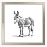 Framed wall art depicting a detailed donkey design from the "Animals: A Wild Life" collection, featuring a silver frame and white mat, perfect for home decor.