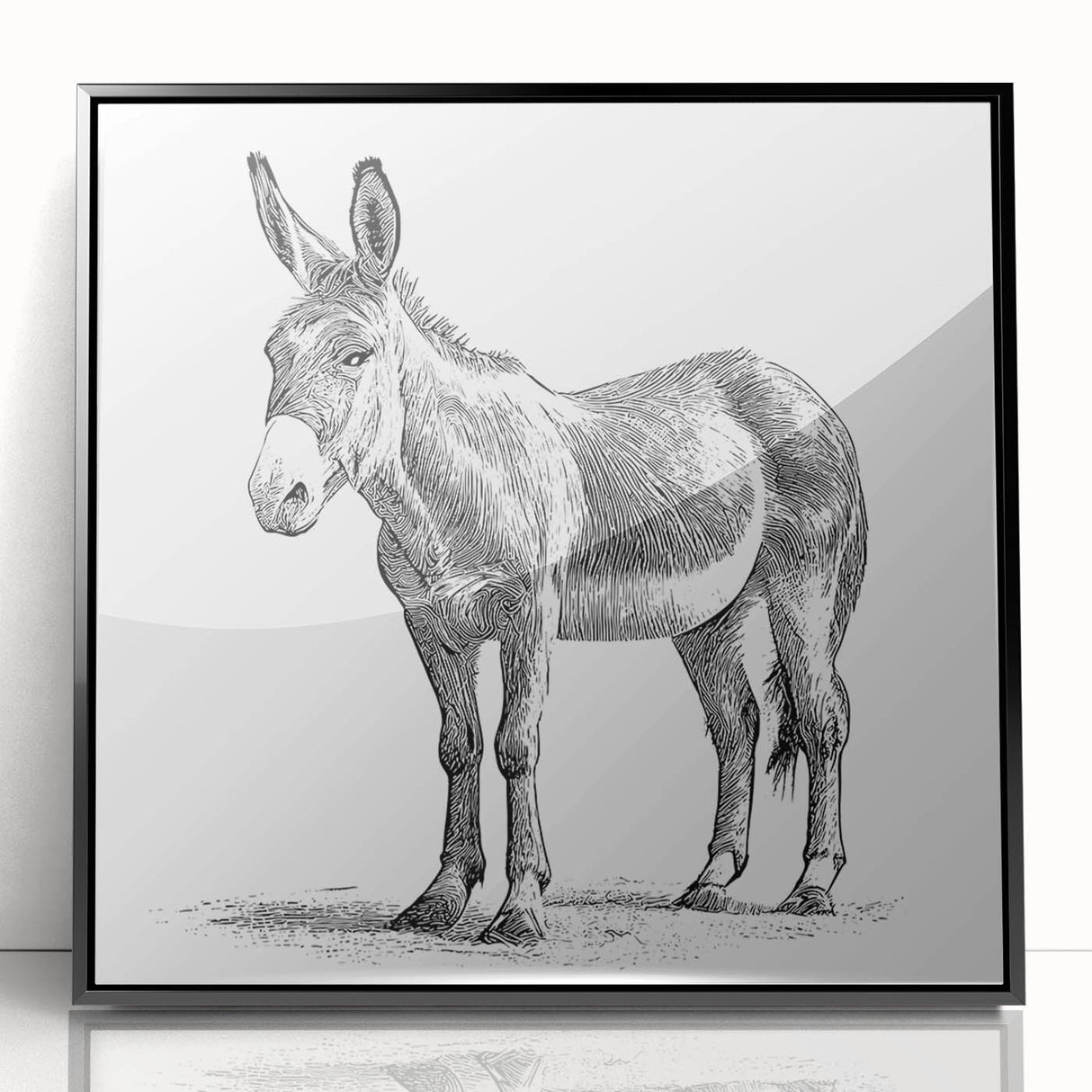 Framed wall art featuring a vibrant donkey design in a modern acrylic frame, showcasing intricate details and bold colors, perfect for animal lovers’ decor.