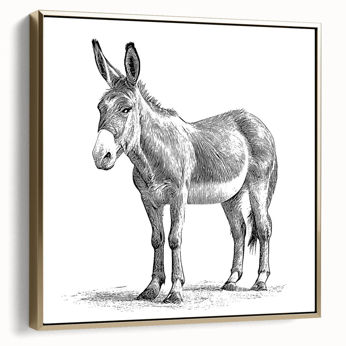 Framed canvas wall art featuring a donkey design from the Animals A Wild Life collection, showcased in a gold frame. The artwork captures the donkey’s playful expression against a soft background, adding a touch of elegance to any space. Ideal for animal lovers and home decor enthusiasts.