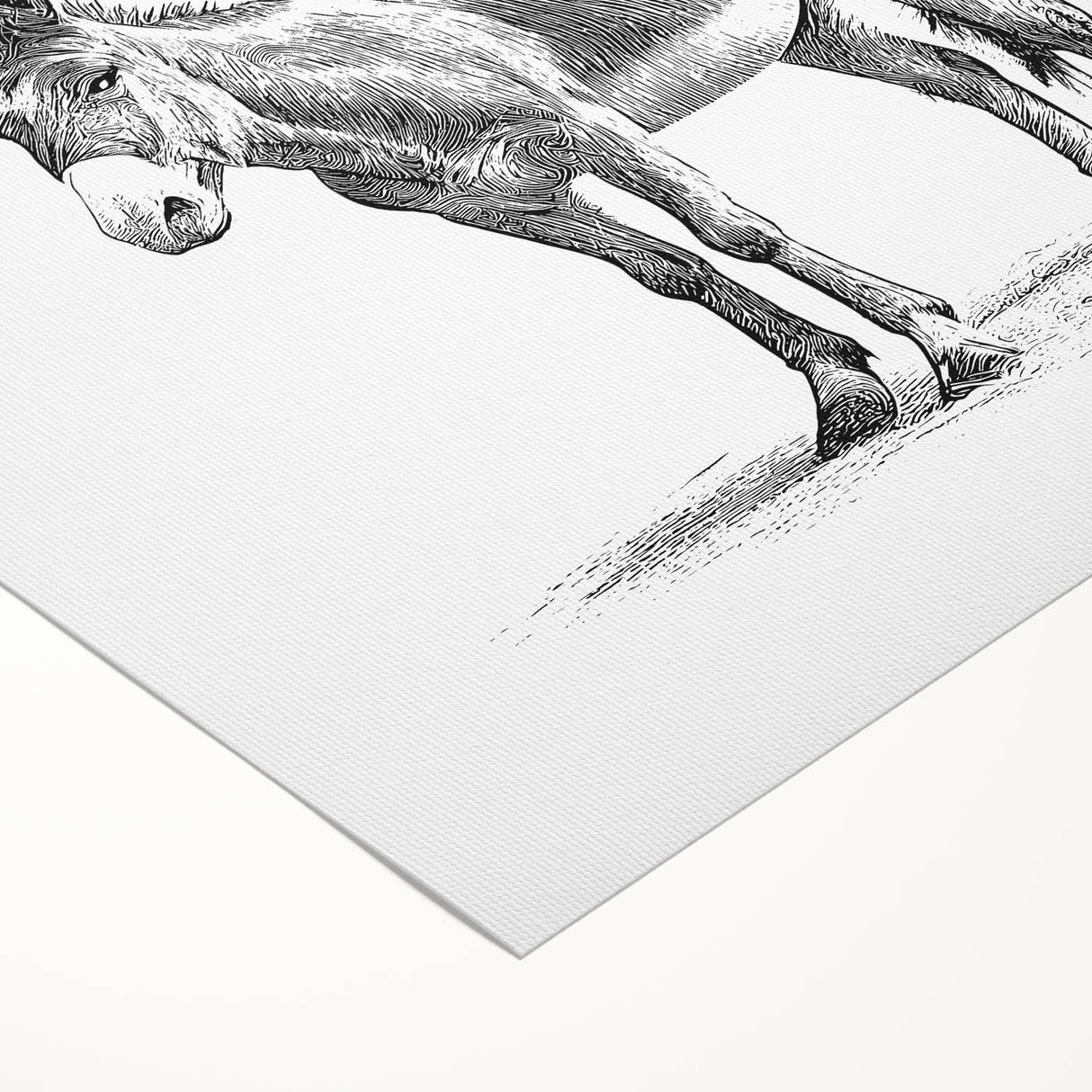 Rolled canvas artwork showcasing a whimsical donkey design, featuring vibrant colors and intricate details, perfect for animal lovers and home decor enthusiasts.