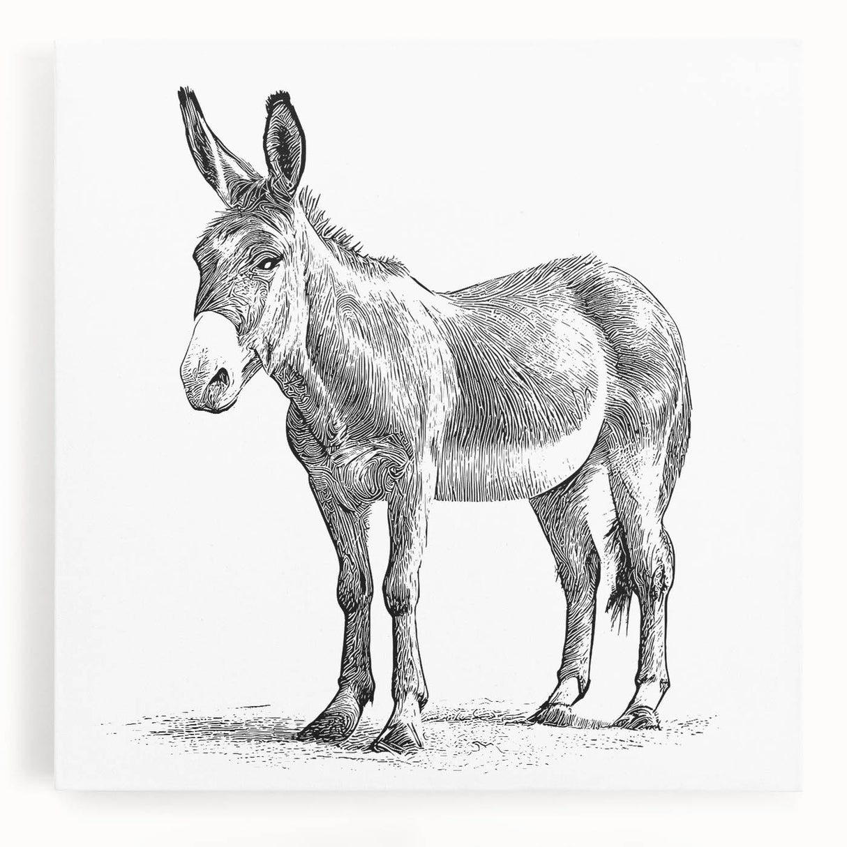 Stretched canvas wall art featuring a whimsical donkey design in vibrant colors, showcasing intricate details and textures, perfect for animal lovers' decor.