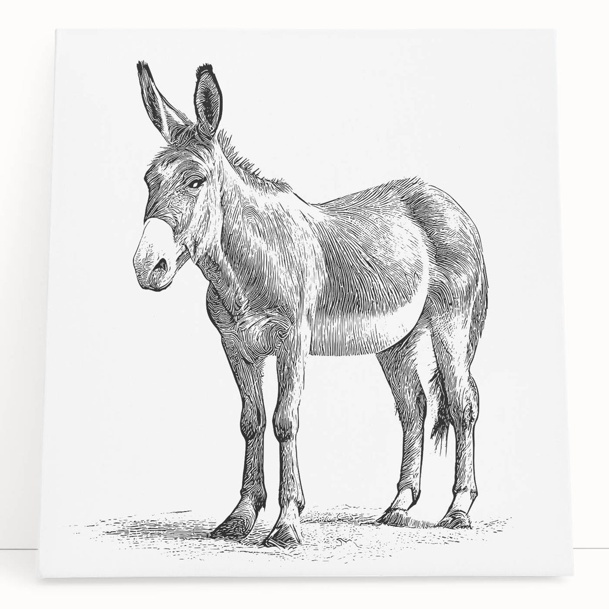 Stretched canvas wall art featuring a whimsical donkey design from the 'Animals: A Wild Life' collection, showcasing vibrant colors and playful details, perfect for home decor.