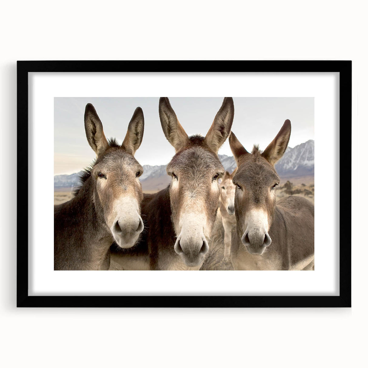 Black-framed wall art featuring a whimsical donkey design from the "Animals A Wild Life" collection, showcasing vibrant colors and playful details, perfect for animal lovers and home decor.