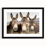 Black-framed wall art featuring a whimsical donkey design from the "Animals A Wild Life" collection, showcasing vibrant colors and playful details, perfect for animal lovers and home decor.
