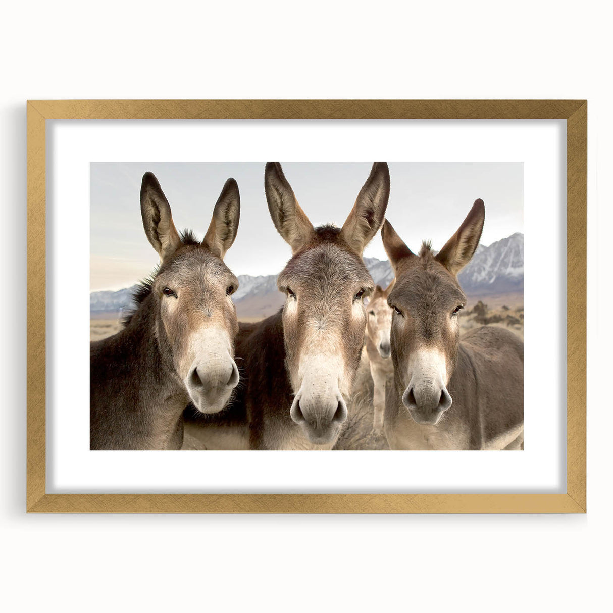Gold-framed wall art featuring a whimsical donkey design from the "Animals a Wild Life" collection, showcasing vibrant colors and playful details, perfect for animal lovers.