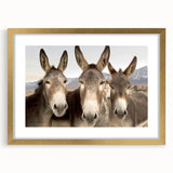 Gold-framed wall art featuring a whimsical donkey design from the "Animals a Wild Life" collection, showcasing vibrant colors and playful details, perfect for animal lovers.