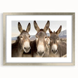 Framed wall art collection featuring a donkey design, presented in a stylish silver frame with a mat, adding a modern touch to animal-themed decor. Ideal for home or office spaces, enhancing aesthetics with its vibrant colors and intricate details.