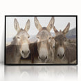 Framed acrylic wall art showcasing a stylish donkey design in a black frame, perfect for animal lovers and modern decor enthusiasts. Ideal for adding unique charm to any space.