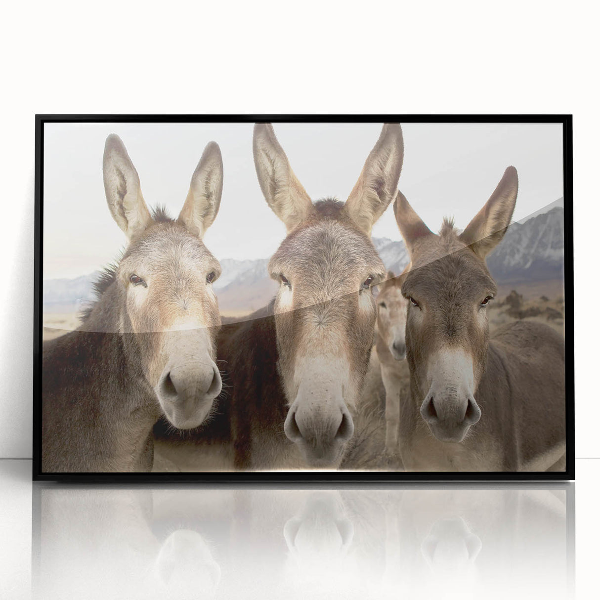 Framed acrylic wall art showcasing a stylish donkey design in a black frame, perfect for animal lovers and modern decor enthusiasts. Ideal for adding unique charm to any space.