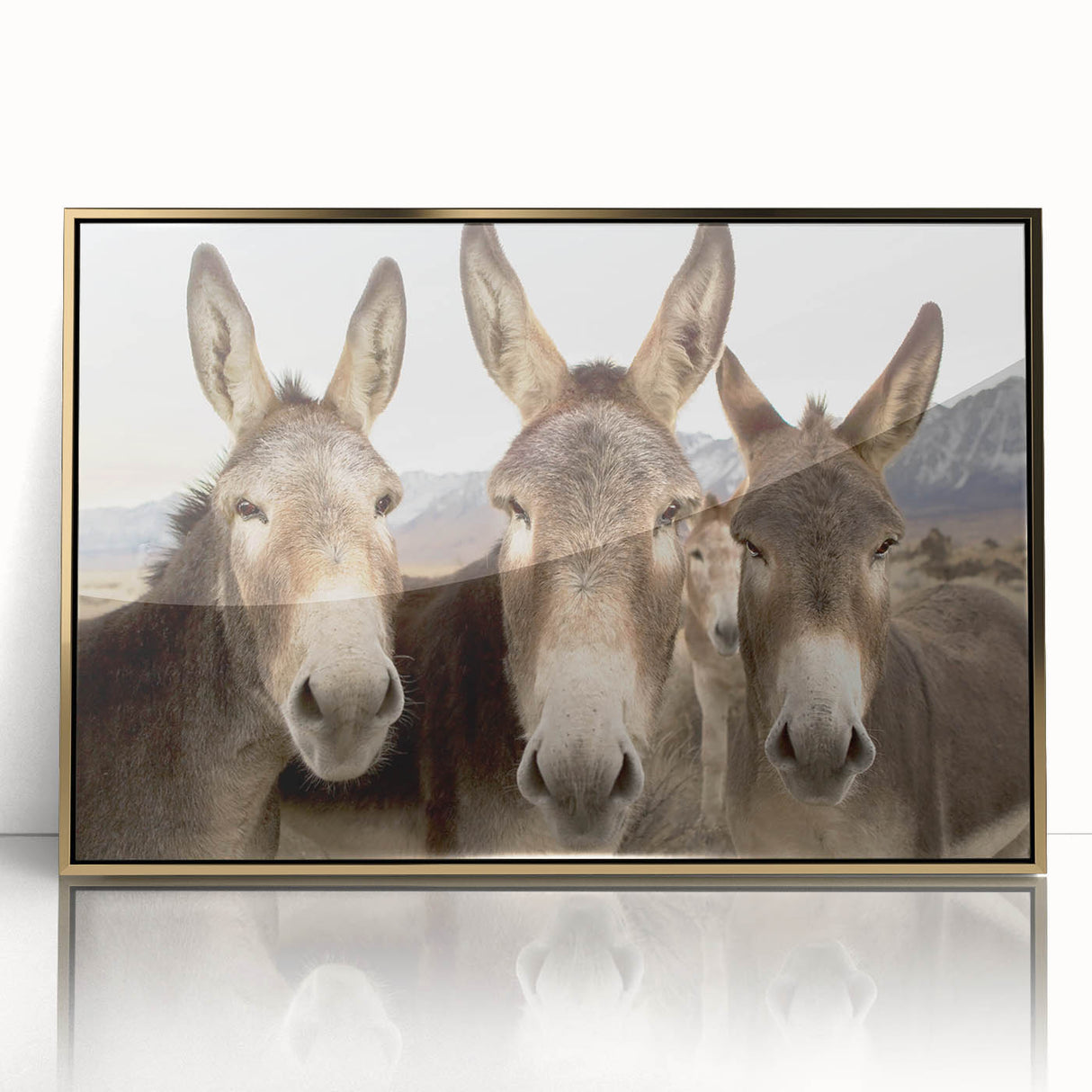 Framed wall art featuring a vibrant donkey design in a gold-acrylic finish, ideal for animal lovers seeking unique home decor. Perfect for adding a touch of wilderness to any room.