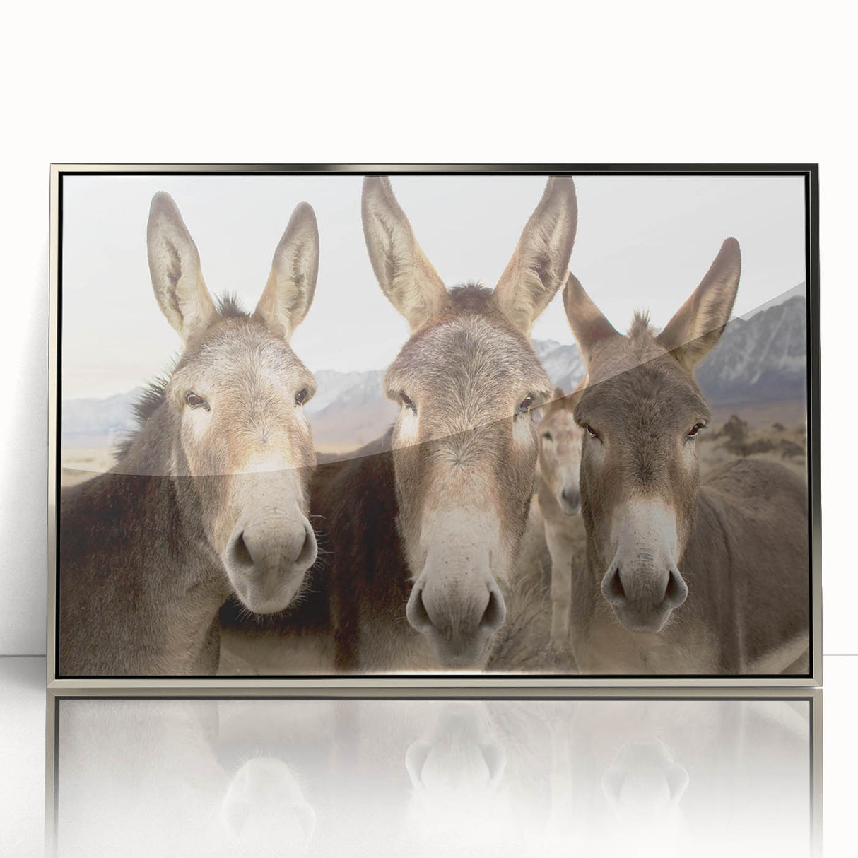 Framed wall art featuring a detailed donkey design in a wild-life setting, presented in a sleek silver frame, perfect for modern home decor and animal lovers.