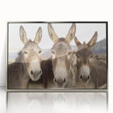 Framed wall art featuring a detailed donkey design in a wild-life setting, presented in a sleek silver frame, perfect for modern home decor and animal lovers.