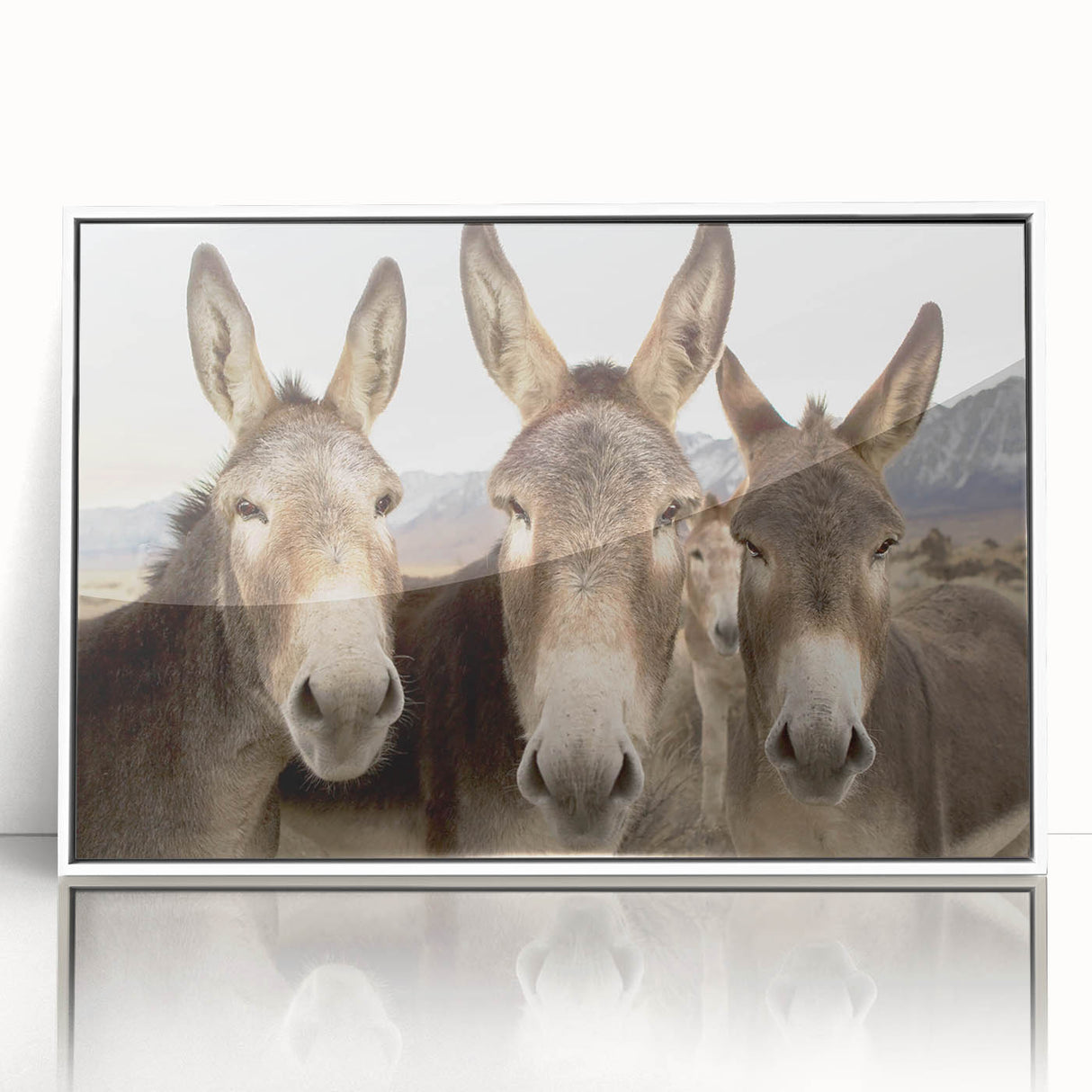 Framed wall art featuring a striking donkey design from the "Animals: A Wild Life" collection, showcased in a sleek white frame, perfect for enhancing modern decor.
