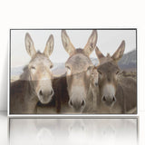 Framed wall art featuring a striking donkey design from the "Animals: A Wild Life" collection, showcased in a sleek white frame, perfect for enhancing modern decor.