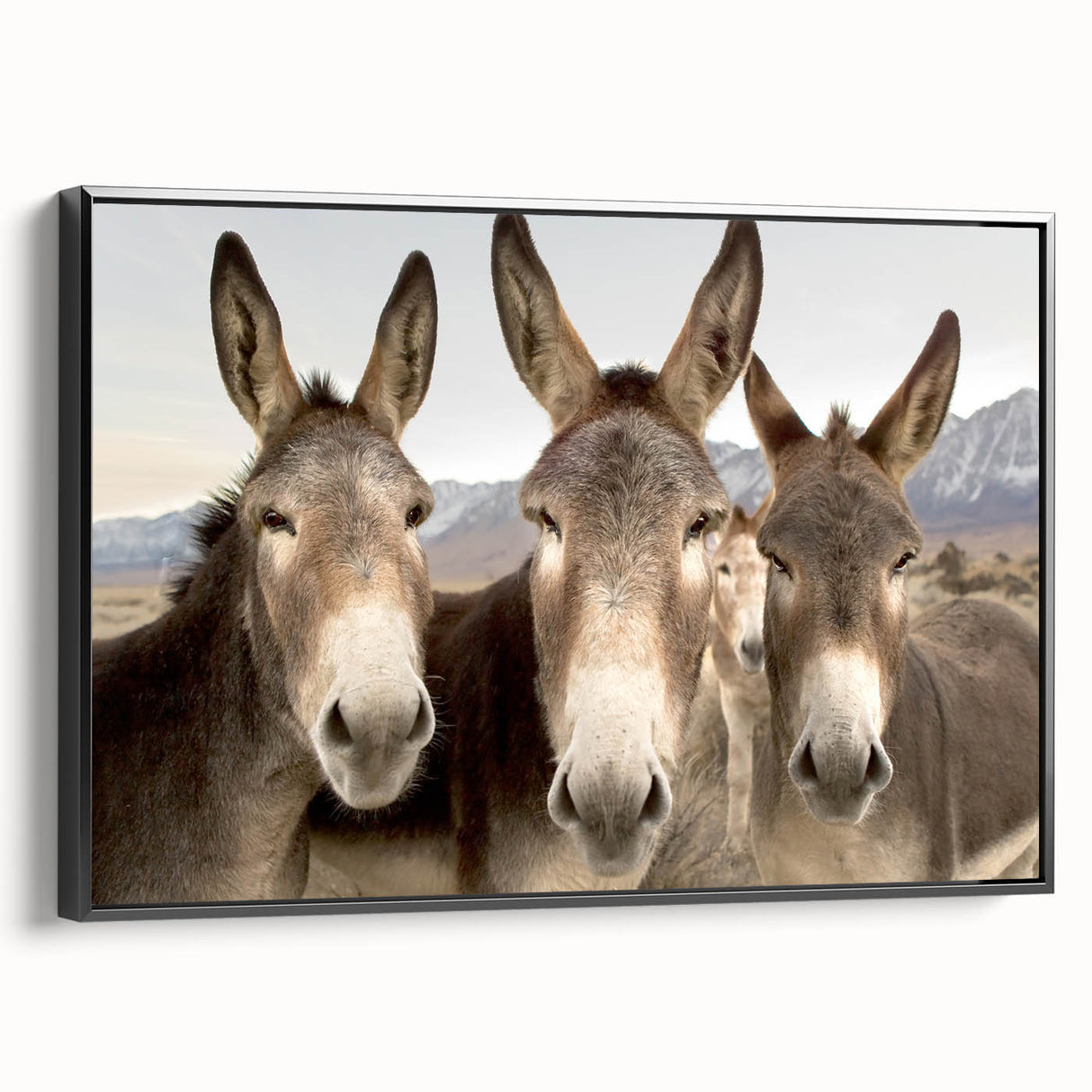 Framed wall art depicting a side view of a donkey with a minimalist black design, perfect for modern home decor or animal-themed spaces. The canvas adds a touch of elegance to any room.