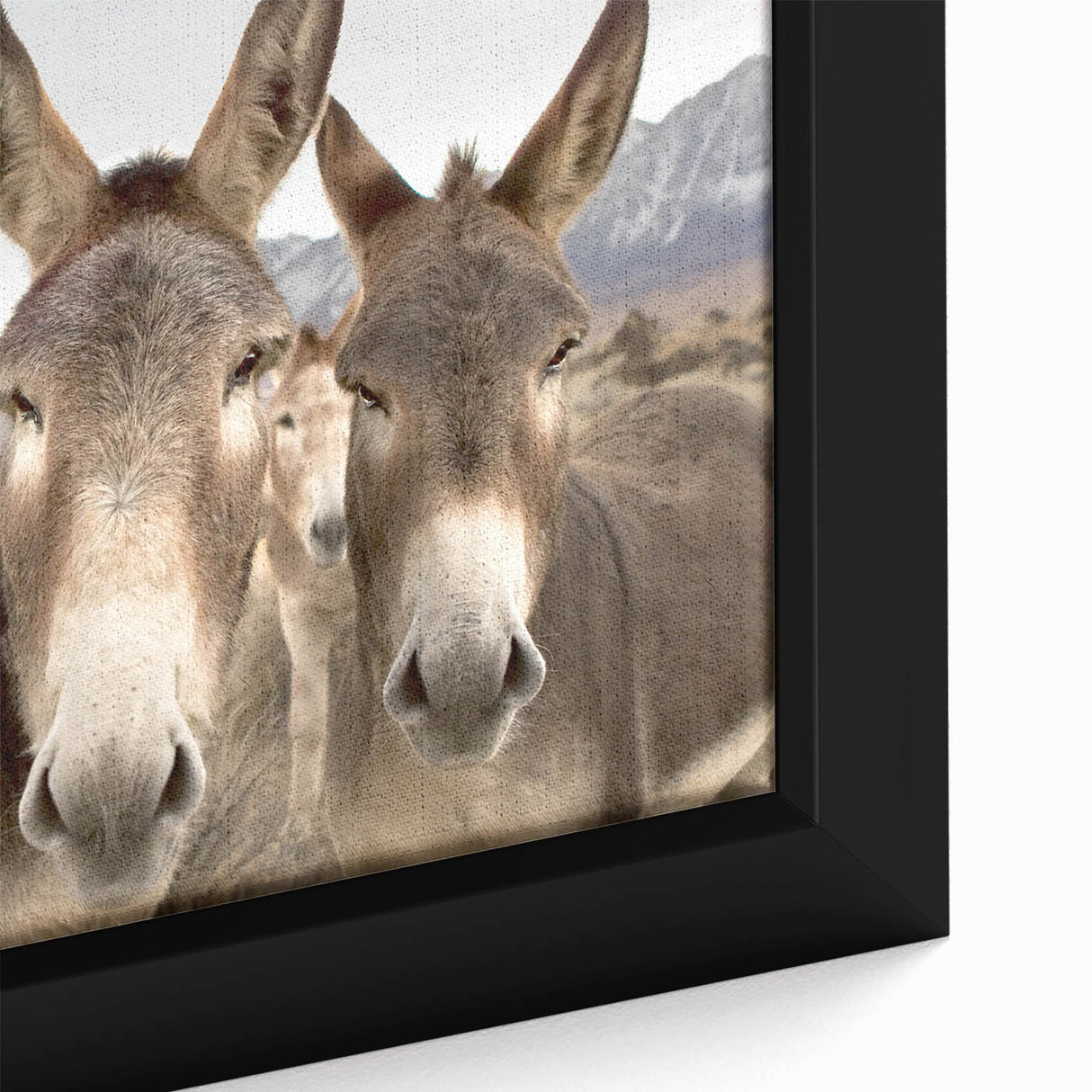 Close-up of a framed canvas wall art piece showcasing a beautifully detailed donkey design, featuring earthy tones and intricate textures, perfect for animal lovers and home décor enthusiasts. Ideal for adding a unique touch to any room.