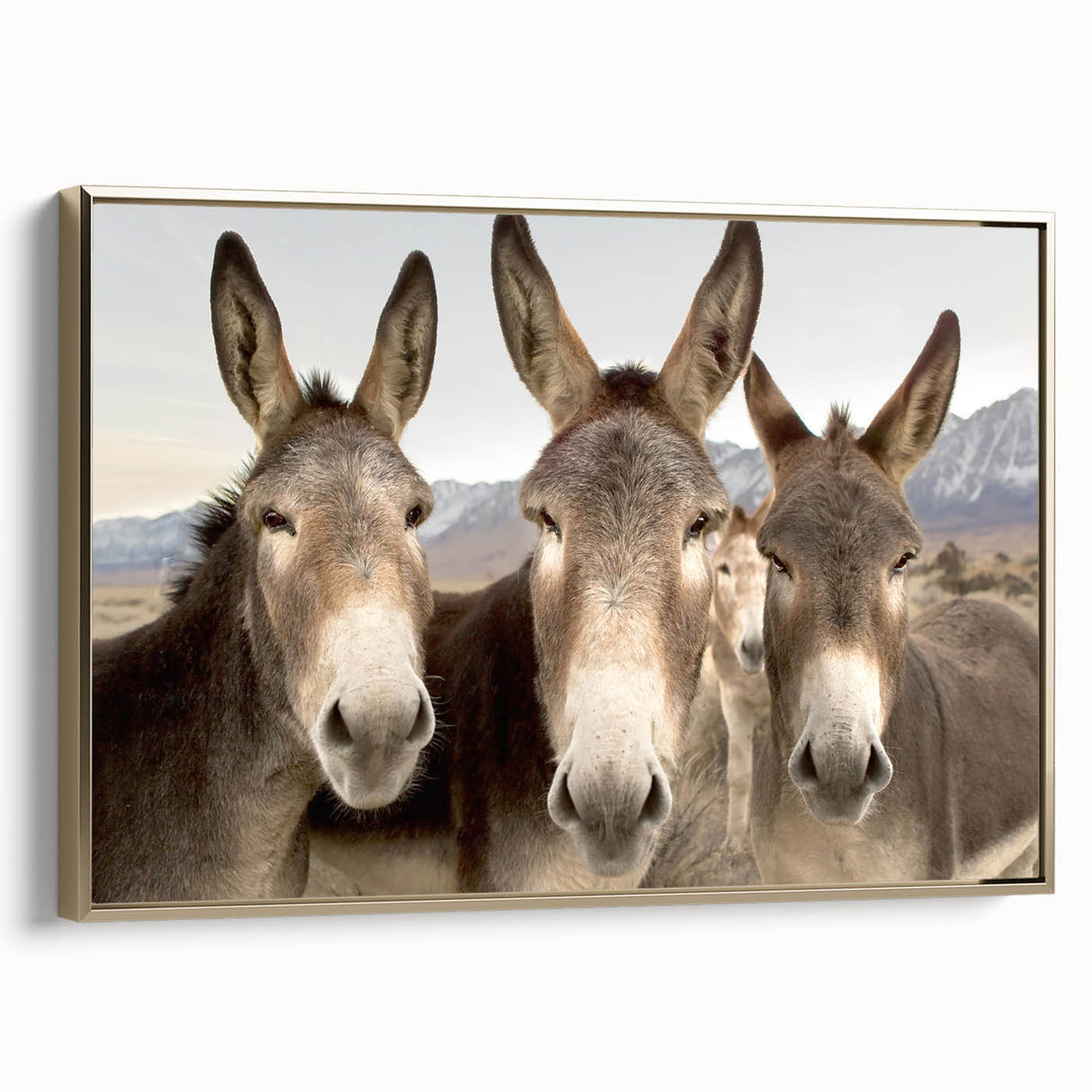 Framed canvas wall art showcasing a side view of a donkey design in a wild animal theme, highlighted by a golden border, perfect for enhancing home decor.