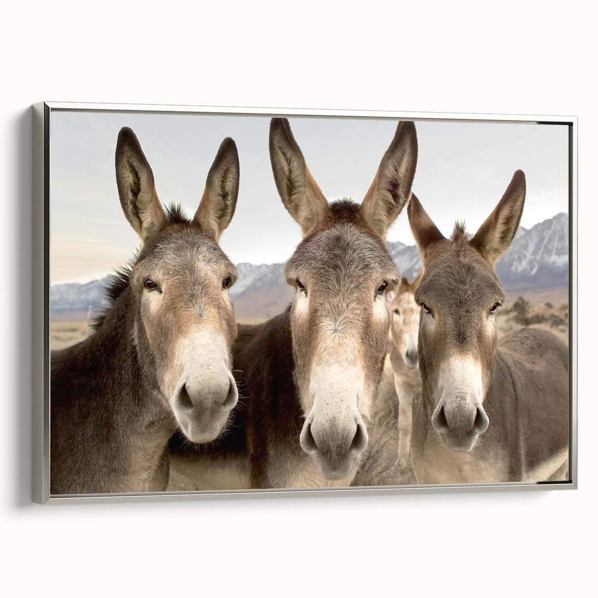 Framed canvas wall art showcasing a stylish silver donkey design, presented in a modern side view, ideal for animal lovers and home decor enthusiasts.