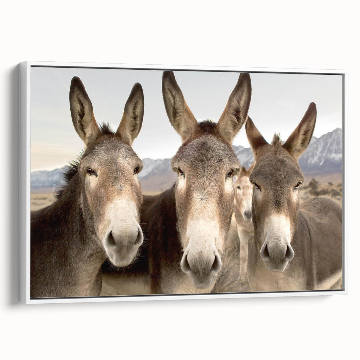 Framed wall art featuring a side view of a donkey design in a minimalist style, set against a white background, perfect for animal lovers and modern decor enthusiasts.