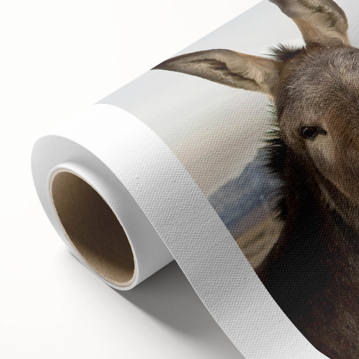 Rolled canvas showcasing a whimsical donkey design in a vibrant, colorful style, perfect for animal lovers and home decor enthusiasts. Ideal for adding a playful touch to any room.