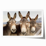 Rolled wall art print showcasing a vibrant donkey design with intricate details, perfect for animal lovers and home decor, presented in a protective cardboard tube.