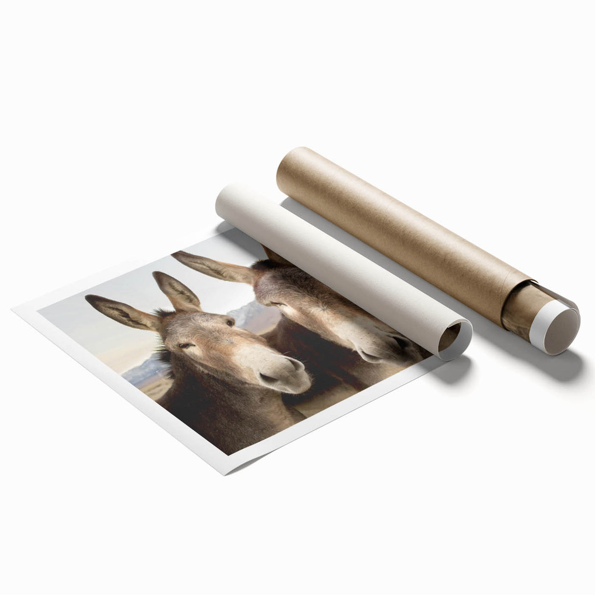 Donkey wall art print showcasing a vibrant, wild animal design on high-quality paper, perfect for enhancing any nature-themed decor. The rolled print is ideal for framing.