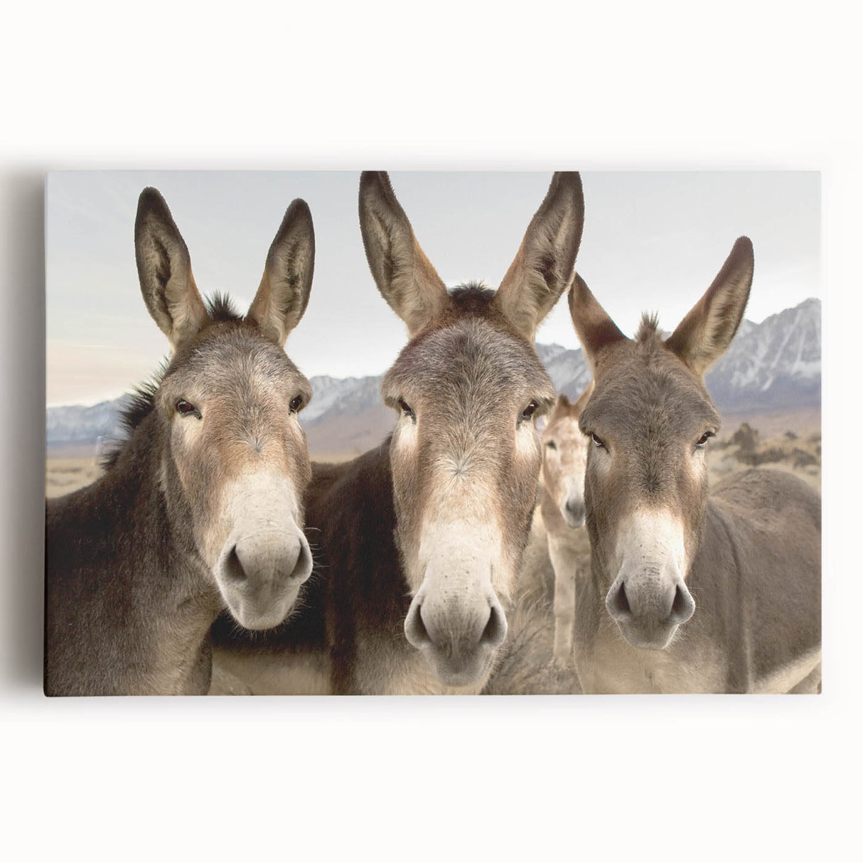 Stretched canvas wall art featuring a vibrant donkey design in a colorful, abstract style against a neutral background, perfect for animal lovers and home decor.