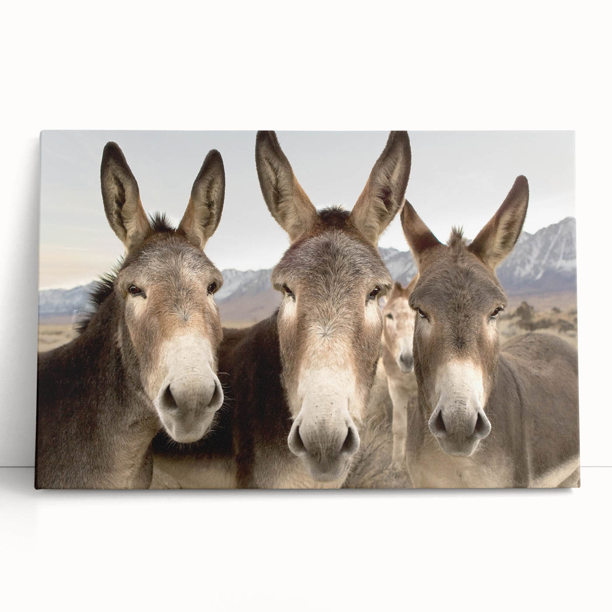 Stretched canvas wall art featuring a whimsical donkey design, showcasing vibrant colors and playful detailing, perfect for animal lovers and home decor enthusiasts.