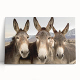 Stretched canvas wall art featuring a whimsical donkey design, showcasing vibrant colors and playful detailing, perfect for animal lovers and home decor enthusiasts.