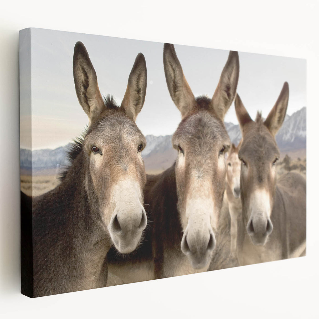 Stretched canvas wall art showcasing a side view of a donkey, detailed with earthy tones and textures, perfect for animal lovers and home décor enthusiasts.