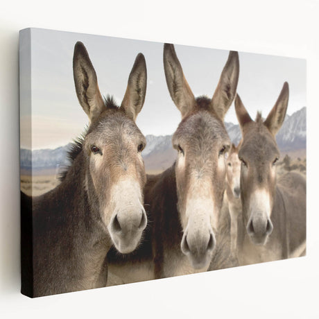 Stretched canvas wall art showcasing a side view of a donkey, detailed with earthy tones and textures, perfect for animal lovers and home décor enthusiasts.