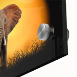 Close-up of a stunning acrylic glass wall art piece featuring a detailed elephant design, showcasing vibrant colors and intricate textures, perfect for wildlife enthusiasts.