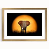 Framed wall art featuring a stunning gold-matted design of an elephant, showcasing intricate details and textures, perfect for wildlife enthusiasts and home decor.