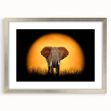 Elegant silver-framed wall art showcasing a majestic elephant design, perfect for wildlife enthusiasts. The artwork features intricate details and a contemporary mat, ideal for enhancing home decor with a touch of nature.