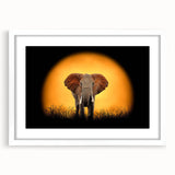 White-framed wall art featuring a striking elephant design, showcasing intricate details and vibrant colors, perfect for nature lovers and home decor enthusiasts.