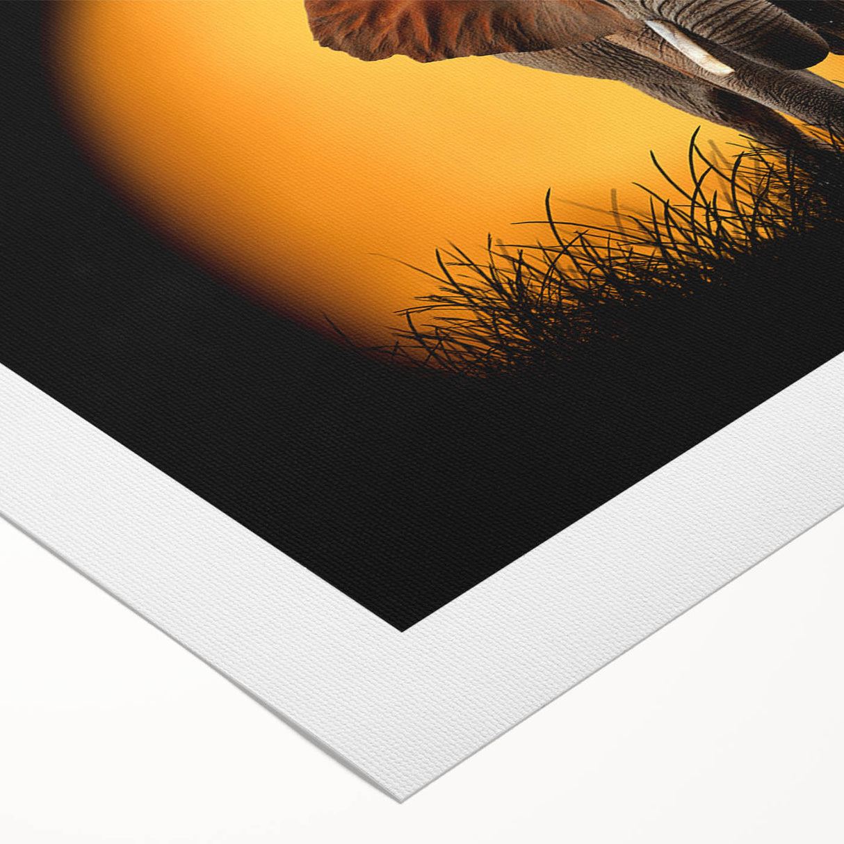 Rolled canvas showcasing a vibrant elephant design, part of a wildlife collection, featuring bold colors and intricate patterns, perfect for adding a touch of nature to home decor.