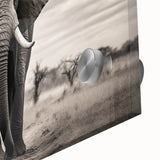 Close-up of a vibrant acrylic wall art piece featuring a majestic elephant in a lush jungle setting, showcasing intricate details and colors that highlight wildlife beauty. Perfect for nature lovers and home decor enthusiasts.