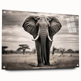 Side view of a modern acrylic wall art piece featuring a vibrant elephant design, showcasing intricate details and colors, perfect for nature lovers and home decor.