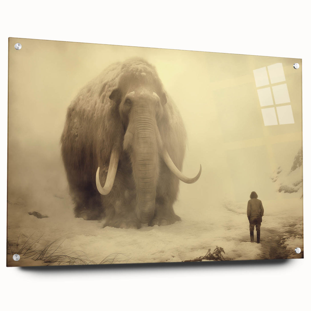 Acrylic wall art featuring a detailed side view of an elephant, showcasing intricate textures and gray tones, perfect for wildlife-themed decor.