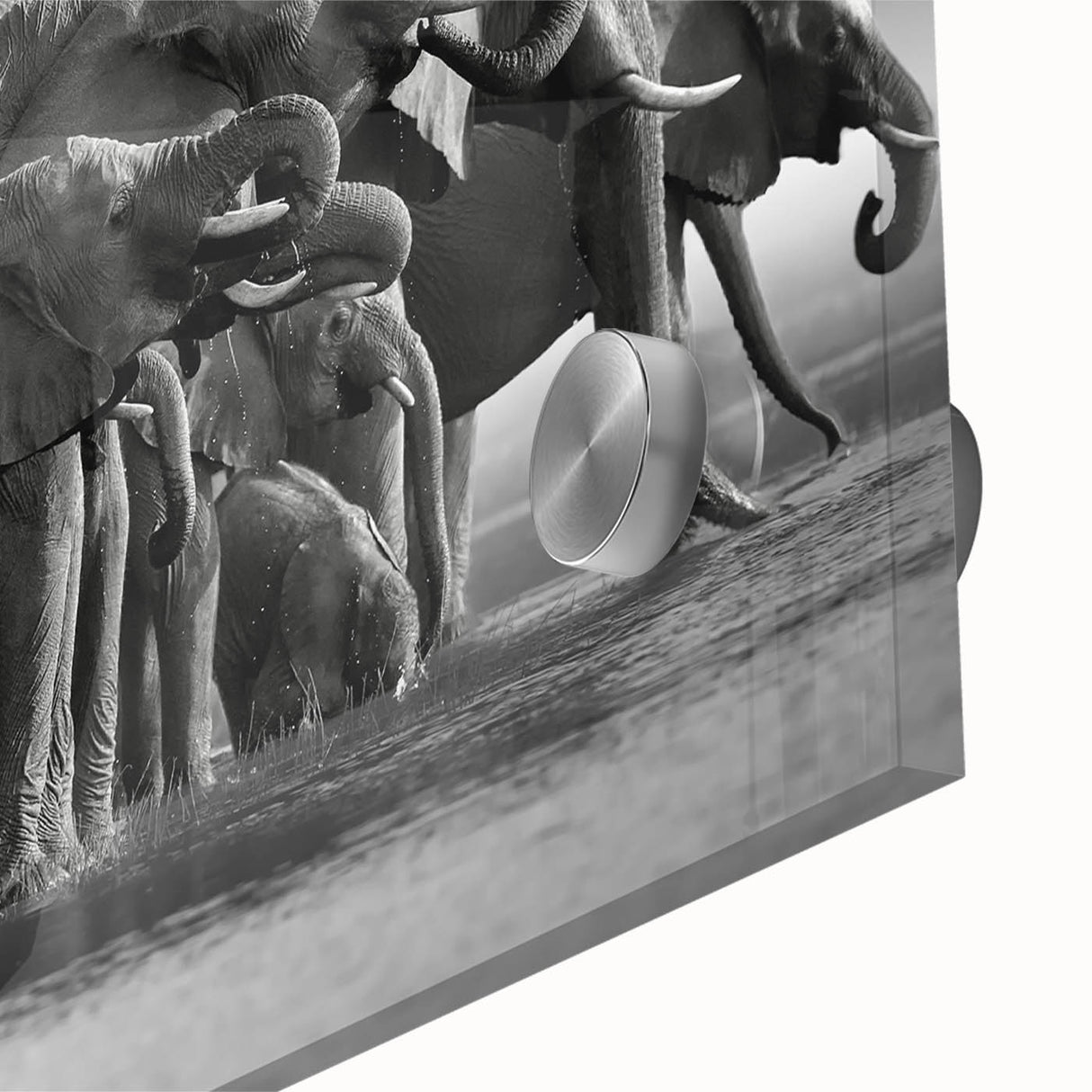 Close-up of a vibrant acrylic glass wall art piece showcasing an elephant design in a lush, colorful jungle setting, perfect for wildlife enthusiasts and home decor.