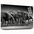 Side view of a striking elephant wall art piece, designed with acrylic glass, showcasing vibrant colors and intricate details, perfect for wildlife enthusiasts.