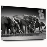 Side view of a striking elephant wall art piece, designed with acrylic glass, showcasing vibrant colors and intricate details, perfect for wildlife enthusiasts.