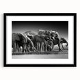 Framed wall art showcasing a stunning black-and-white elephant design, featuring a sleek mat and modern frame, perfect for animal lovers and home decor enthusiasts.